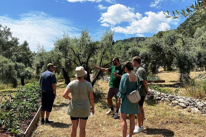The Olive Oil Experience @ Lefkada Micro Farm - Price and value: is $62.48 worth it?