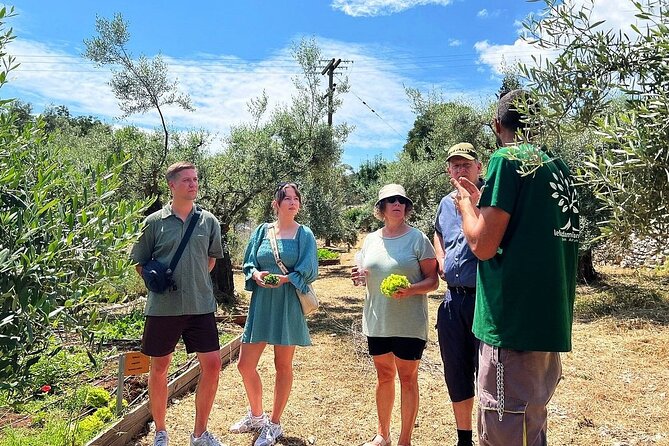 The Olive Oil Experience @ Lefkada Micro Farm - Walking the Groves and Meeting the White Lefkadian Trees