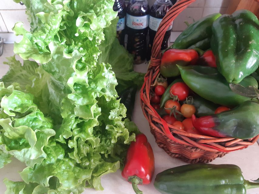 Thessaloniki:Greek Cooking Class and Meal at a Farm A - The cooking class: learning Greek gastronomy the hands-on way