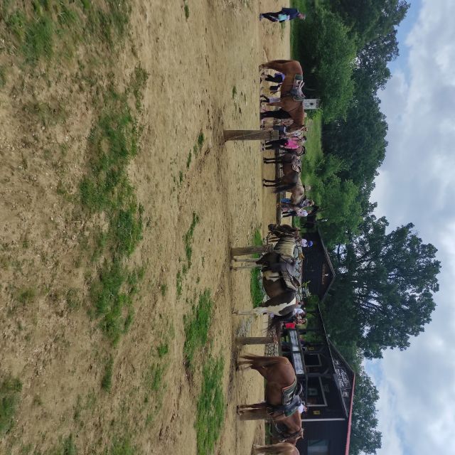 Thessaloniki:Horse Riding in a farm - Key highlights to look for