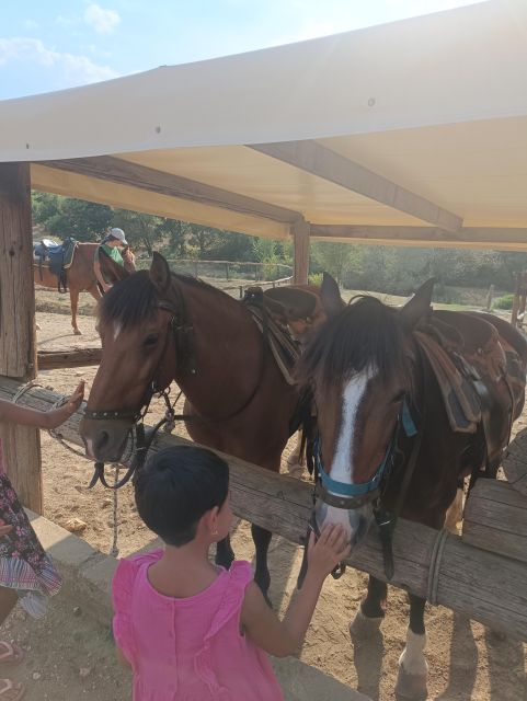 Thessaloniki:Horse Riding in a farm - Getting out of Thessaloniki fast: the farm escape