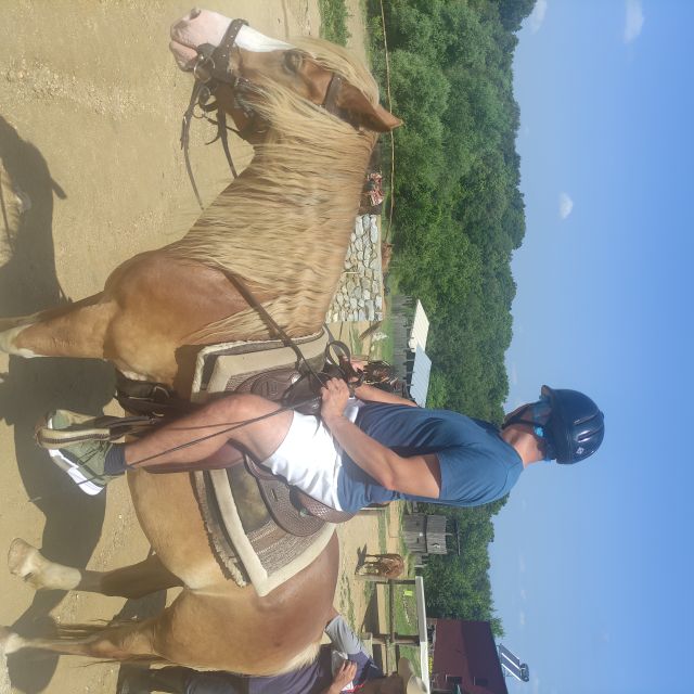 Thessaloniki:Horse Riding in a farm - Refreshments on the property: plan to buy, not include