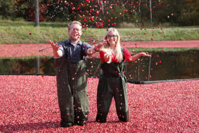 Toronto: Muskoka Cranberry Farm and Hardy Lake Hike - Gravenhurst for an hour: what you can realistically do on your own
