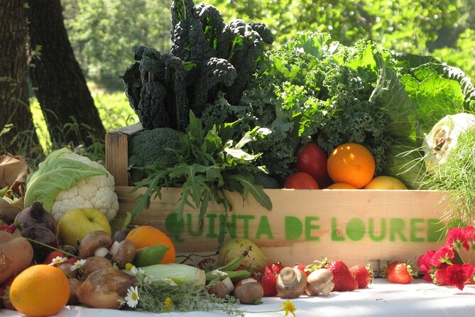 Traditional Cooking Class, Farm Tour & Lunch in the Douro Valley - Key moments that make Quinta de Louredo different