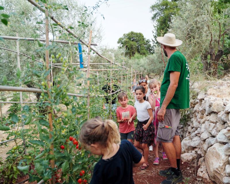 Traditional Greek Cooking Class @ Lefkada Micro Farm - Bread in the wood oven: the first taste of the day’s theme