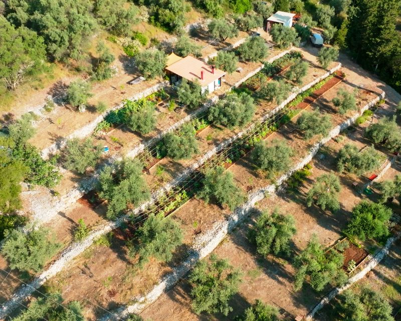 Traditional Greek Cooking Class @ Lefkada Micro Farm - Practical Tips Before You Go