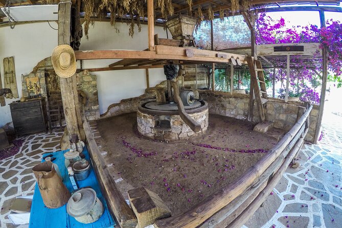 Traditional Olive Oil Making at Spiridi Olive Oil Farm - Crete - A 130-year-old olive factory where you do the real steps