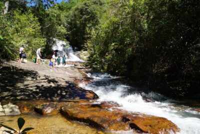 Trekking to Hidden Waterfall & Sturgeon Farm for dog-lovers - The 30-Minute Forest Trek to the Sturgeon Farm