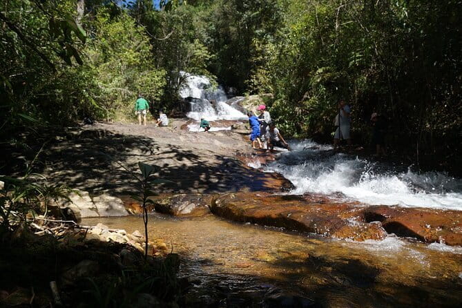 Trekking Tour to Hidden Waterfall & Sturgeon Farm for dog-lovers - The Forest Trek: Easy Distance, Real Nature, and a Dog-Assisted Rhythm