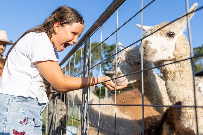 Trevena Glen Farm Animal Experience - Trevena Glen Farm: Rural Animal Time Just Outside Brisbane