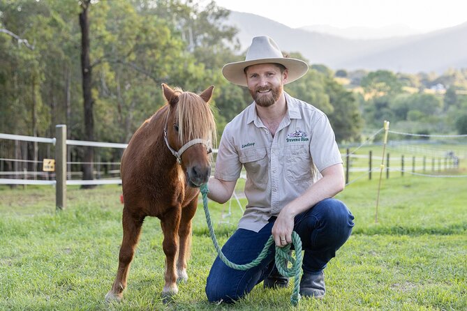 Trevena Glen Farm Animal Experience - Feeding Time: The Hands-On Moment That Makes Learning Stick