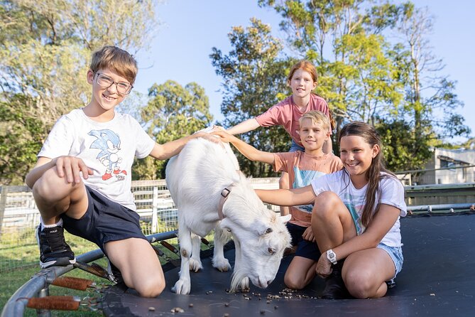 Trevena Glen Farm Animal Experience - Who This Works Best For (and Who Might Want Another Option)