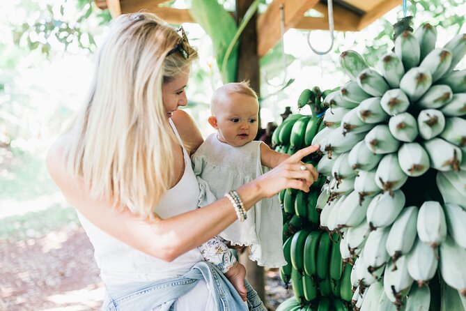 Tropical Fruit World Farm Full Tour - Getting to Tropical Fruit World from The Big Avocado