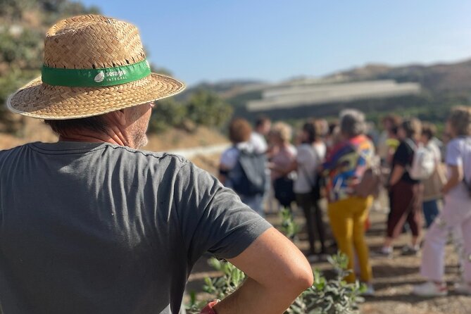 Tropical Tour: Avocado & Mango Farm - Small group and tasting - A Mango-and-Avocado Day That Feels Local, Not Staged