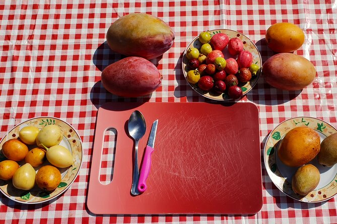 Tropical Tour: Avocado & Mango Farm - Small group and tasting - Duration and Timing: What 5 Hours Feels Like