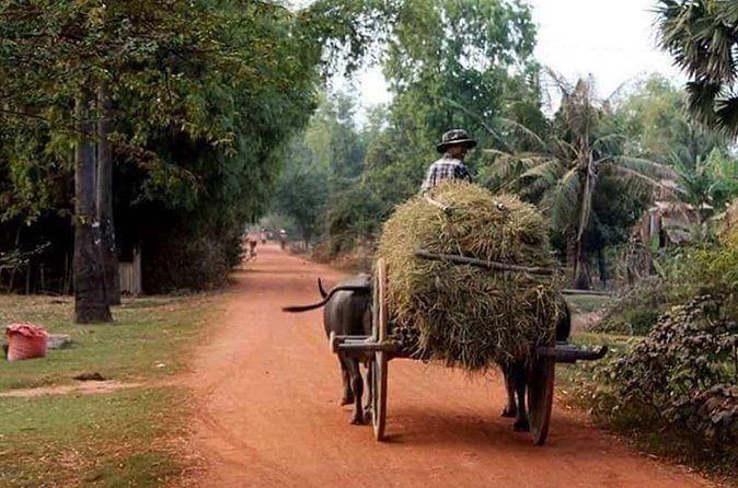 Tuk Tuk Journey: Exploring Rural Life and Silk Farm Craftsmanship - Wat Khnat Rangs’i: a pagoda stop for Buddhism and blessings