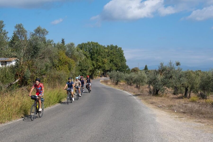 Tuscany Hills Bike Tour with Lunch at farm and Wine Tasting - Price and value: $73.07 plus the e-bike choice