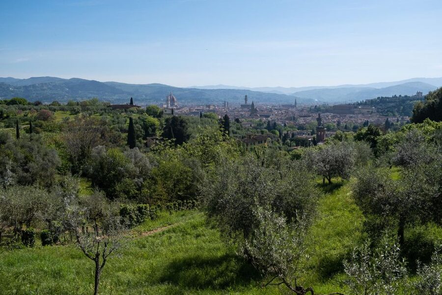 Tuscany Hills Bike Tour with Lunch at farm and Wine Tasting - From Florence into Chianti: what the day is really like