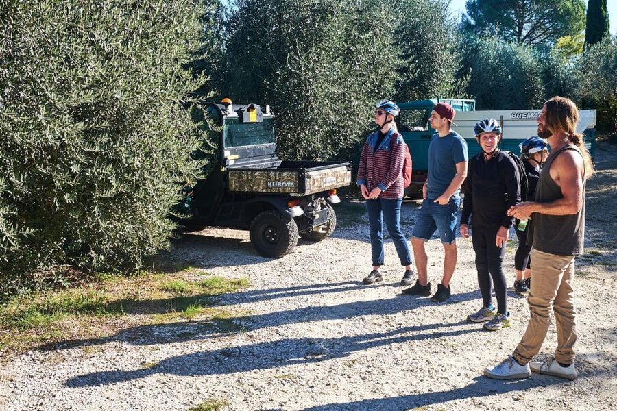Tuscany Hills Bike Tour with Lunch at farm and Wine Tasting - Winery and farm tour: what you’re learning and what to watch for