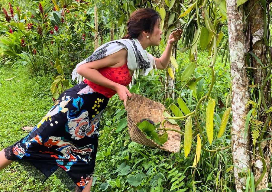 Ubud: Balinese Cooking Class at an Organic Farm - Key things I’d circle on your plan