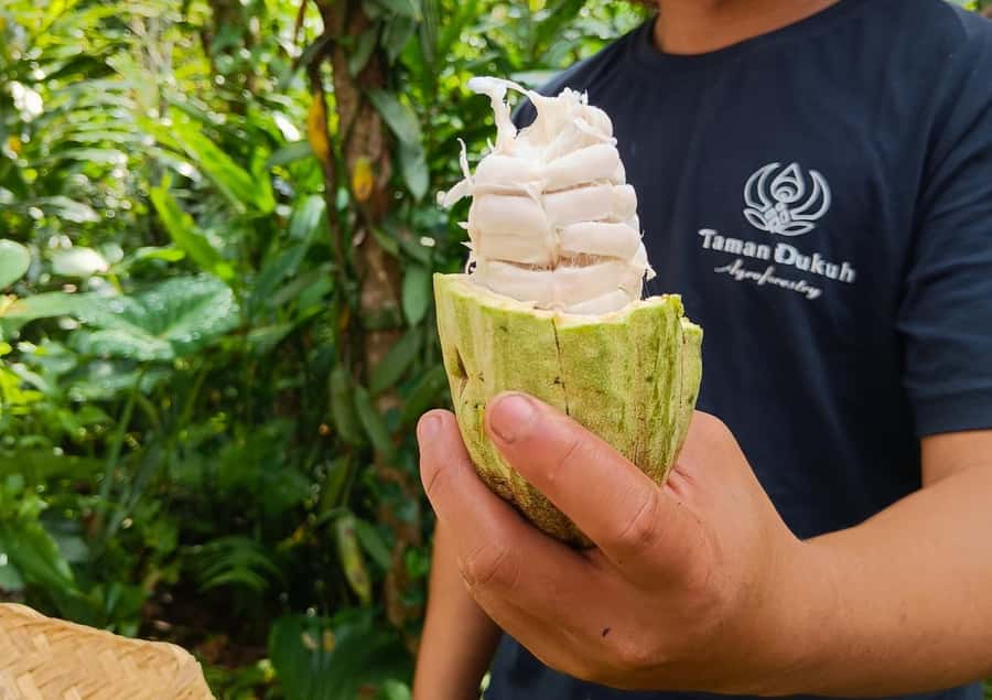 Ubud: Balinese Cooking Class at an Organic Farm - Why I’d start with the market before you cook