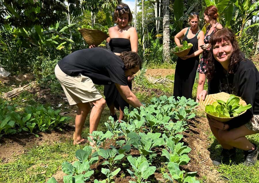 Ubud: Balinese Cooking Class at an Organic Farm - Meals you cook and eat: expect a full day, not a snack