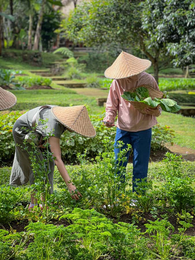 Ubud: Organic Farm Harvest, Bali Cooking Class by Pemulan - Cooking Like a Local: The Hands-On Class Flow