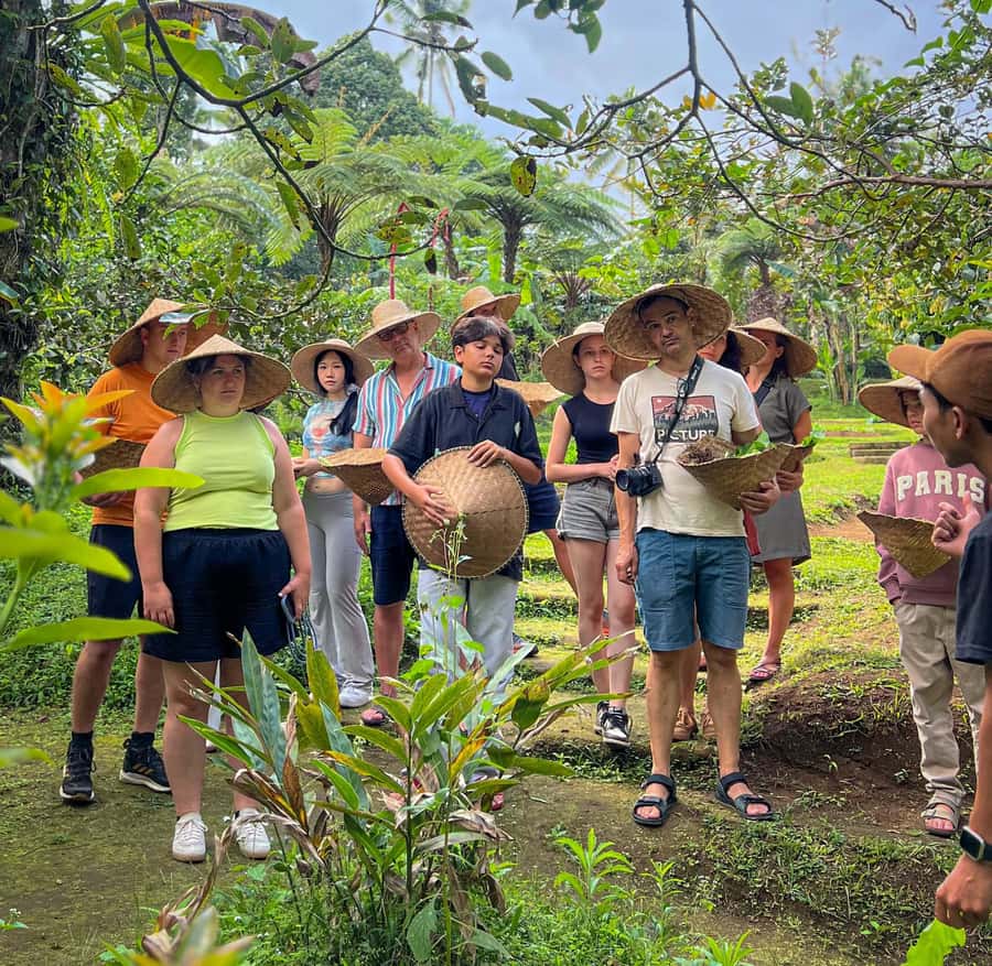 Ubud: Organic Farm Harvest, Bali Cooking Class by Pemulan - Getting to the Class: Sens Hotel Pickup and Air-Conditioned Ride