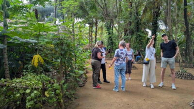 Udawalawe: Farm to Table Cooking & Authe: Village Experience - Cinnamon Tea Welcome (and How the Program Starts)