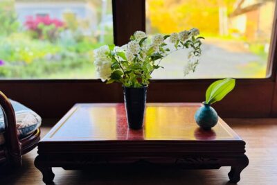 Uji and Wazuka Matcha Farm Half Day Private Guided Tour - Who you’re with: private guiding with Masae