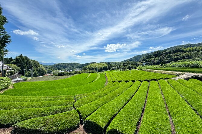 Uji and Wazuka Matcha Farm Half Day Private Guided Tour - Uji Shrine and Ujibashi Bridge: quick hits with big meaning