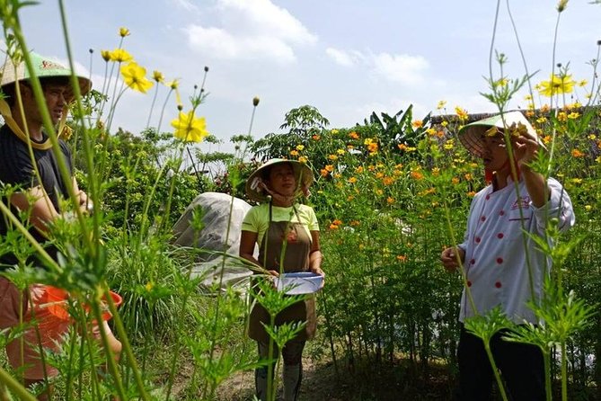 Unique farm to Table cooking class in Saigon - Who This Class Suits Best (and Who Might Skip It)