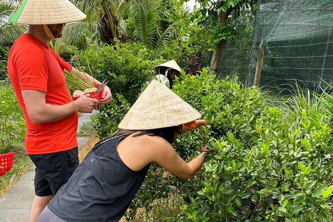 Unique Farm to Table Cooking Class with Top Chef in Vietnam - Harvesting Herbs and Spices: The Part You’ll Remember