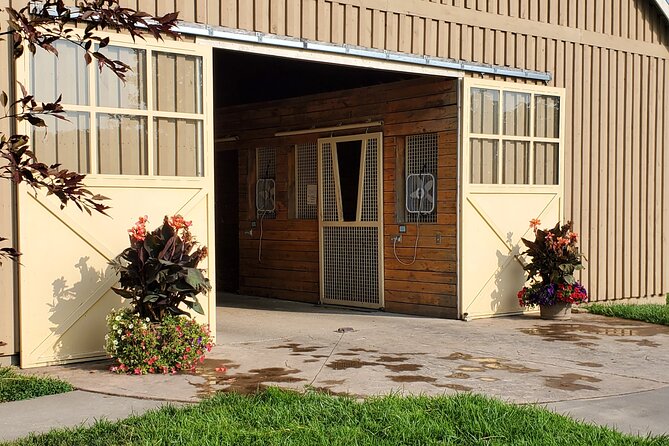 Unique Horse Farm Tours with Insider Access to Private Farms - The Thoroughbred Center: watching yearlings swim up close