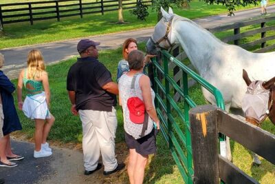 Unique Horse Farm Tours with Insider Access to Private Farms - KatieRich Farms: barns, stalls, and hands-on horse time