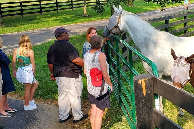 Unique Horse Farm Tours with Insider Access to Private Farms - KatieRich Farms: barns, stalls, and hands-on horse time