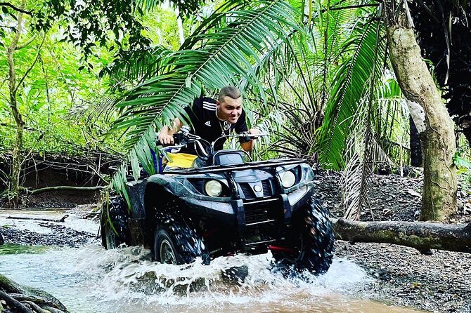 Unique Pineapple Farm Tour on 4 wheels - Key Things You Should Know Before You Go