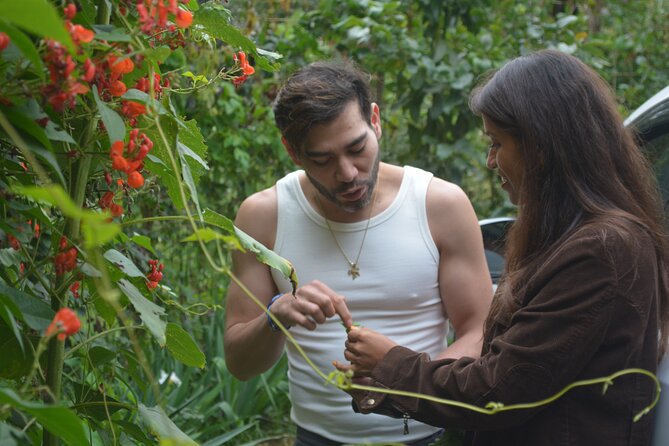Urban Orchard in Desierto de los Leones in Mexico City - Key highlights at this urban orchard experience