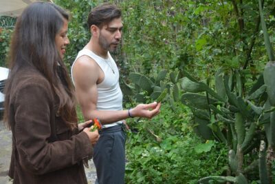 Urban Orchard in Desierto de los Leones in Mexico City - Entering the orchard ecosystem: trees, veggies, and a living system