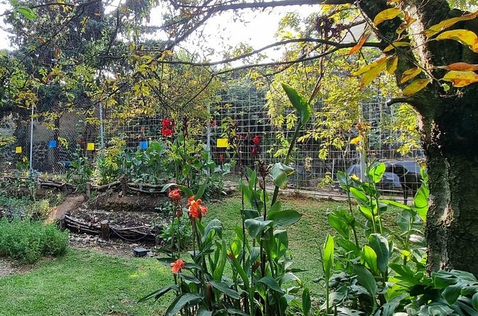 Urban Orchard in Desierto de los Leones in Mexico City - Price and value: what you get for $75
