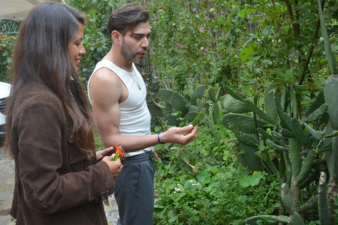 Urban Orchard in Desierto de los Leones in Mexico City - Entering the orchard ecosystem: trees, veggies, and a living system