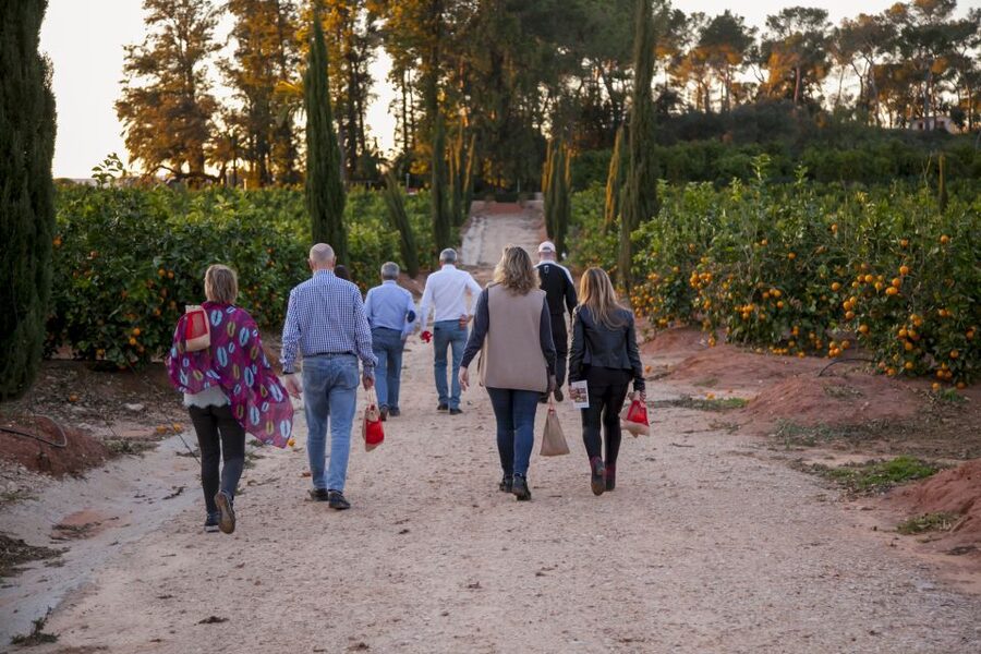 Valencia: Orange Farm and Orchard Trip with Tastings - Key things I’d prioritize
