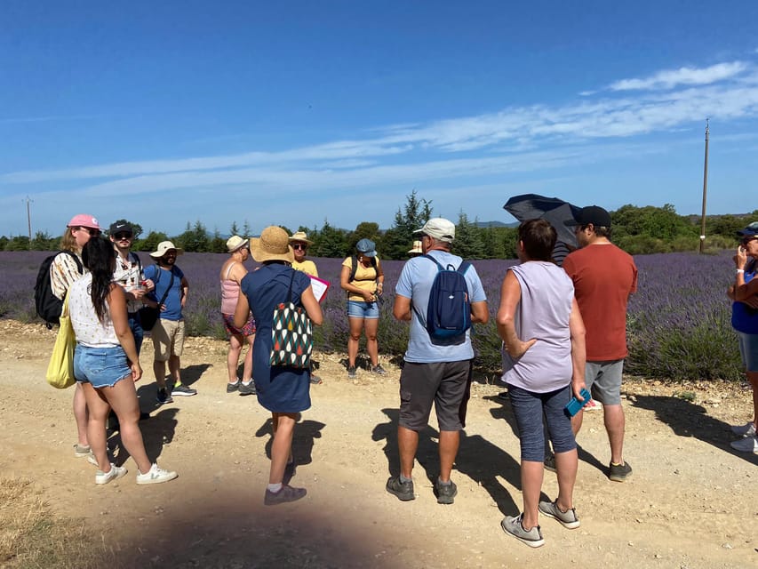 Valensole : Visit of a winery and lavender farm - Key Highlights Worth Marking on Your Map