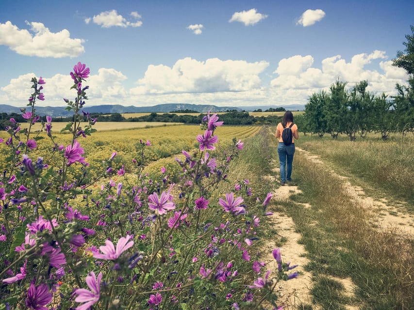 Valensole : Visit of a winery and lavender farm - Entering the Stone-Front Farm: Meeting Point and Getting Comfortable