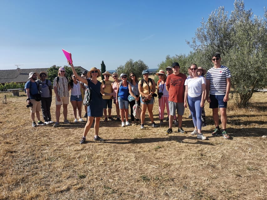 Valensole : Visit of a winery and lavender farm - Learning Wild Plants and Aromatic Scents the Way a Local Does