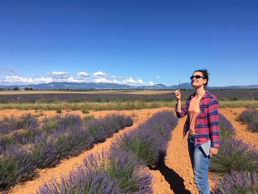 Valensole : Visit of a winery and lavender farm - Quick Practical Tips Before You Go