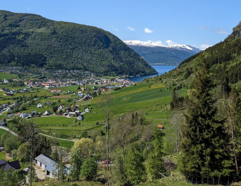 Vik i Sogn: Authentic Farm Visit - Key highlights you’ll care about
