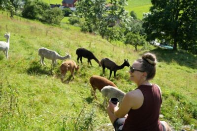 Vik i Sogn: Authentic Farm Visit - Price and value: is $29 worth 80 minutes?