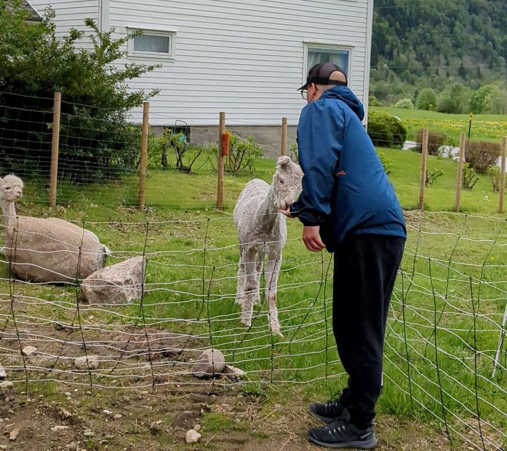 Vik i Sogn: Authentic Farm Visit - Who should book this farm visit?
