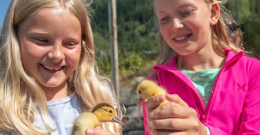 Vik i Sogn: Authentic Farm Visit - What to bring for Steim: shoes and weather clothing